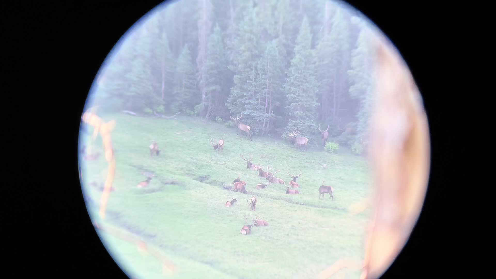 @whitemountainkrew