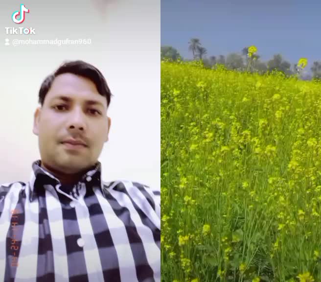 @up_BOY