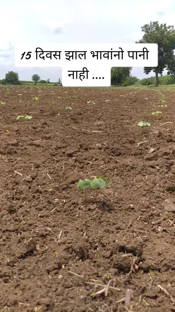 @RanojiBarse(Rana da)