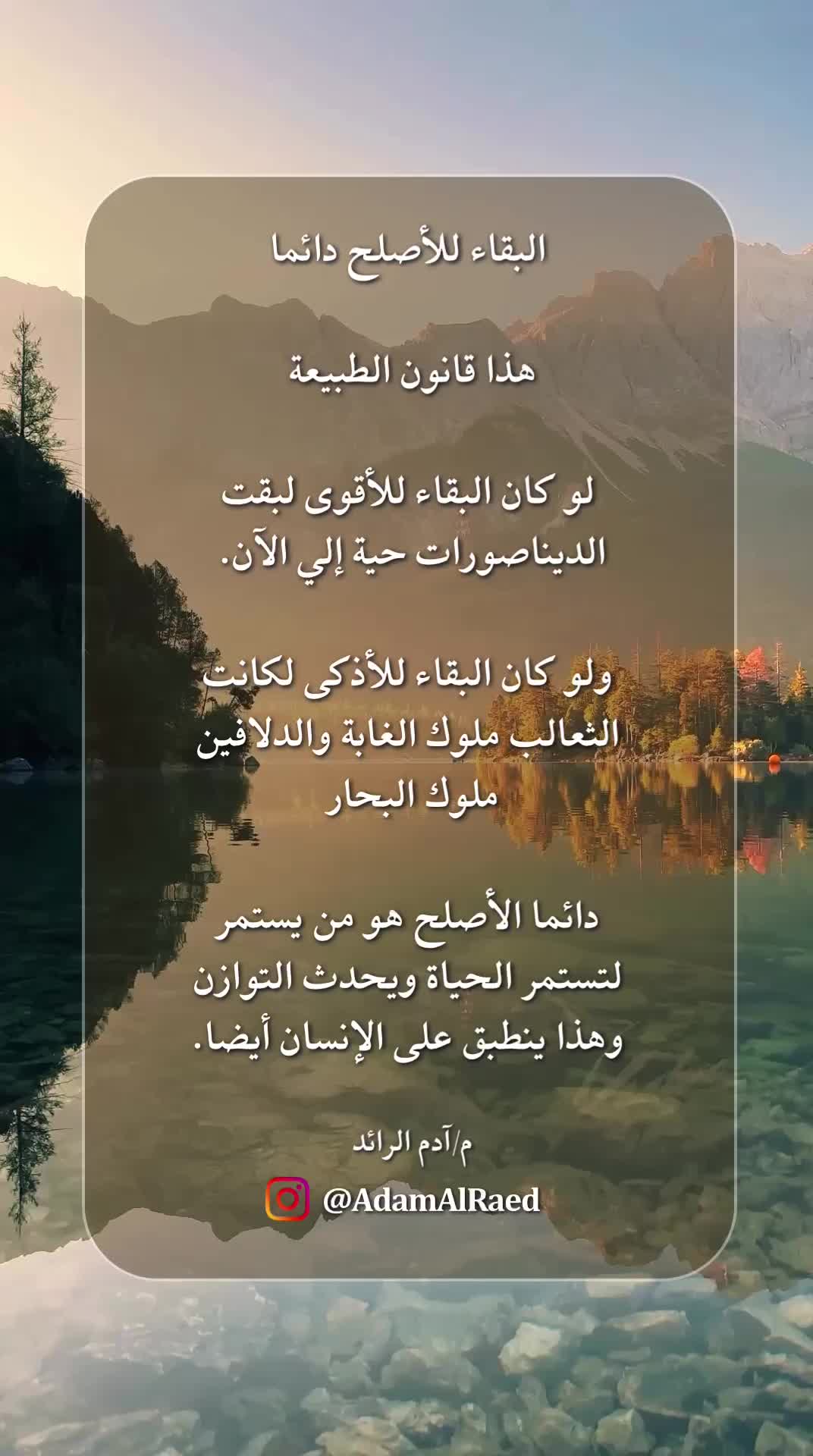 @AdamALRaed