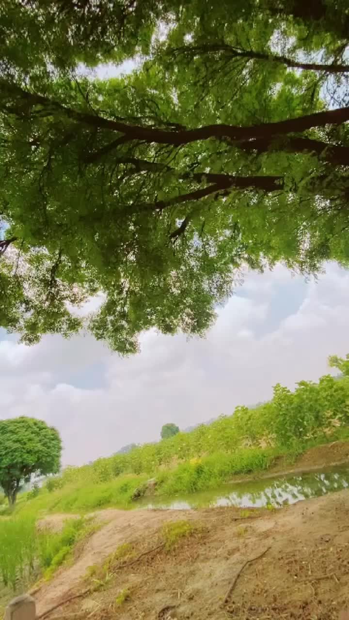 @__chahal_