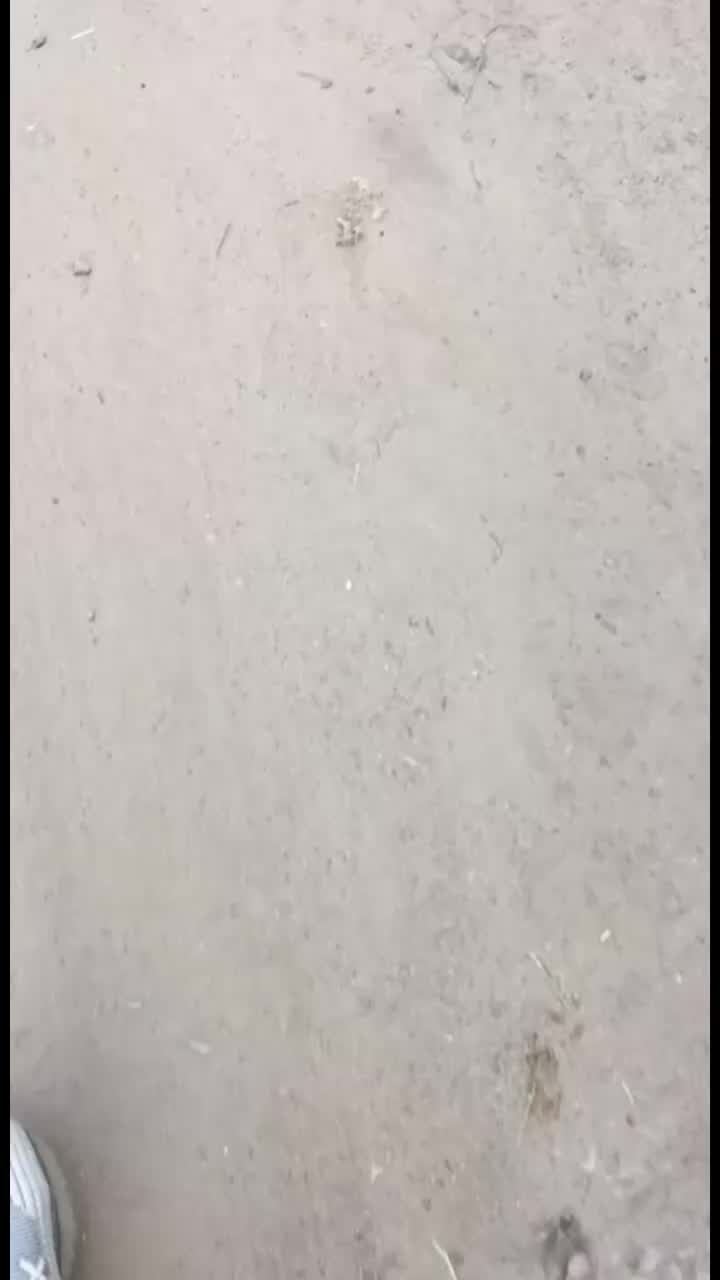 @prosto_spirit