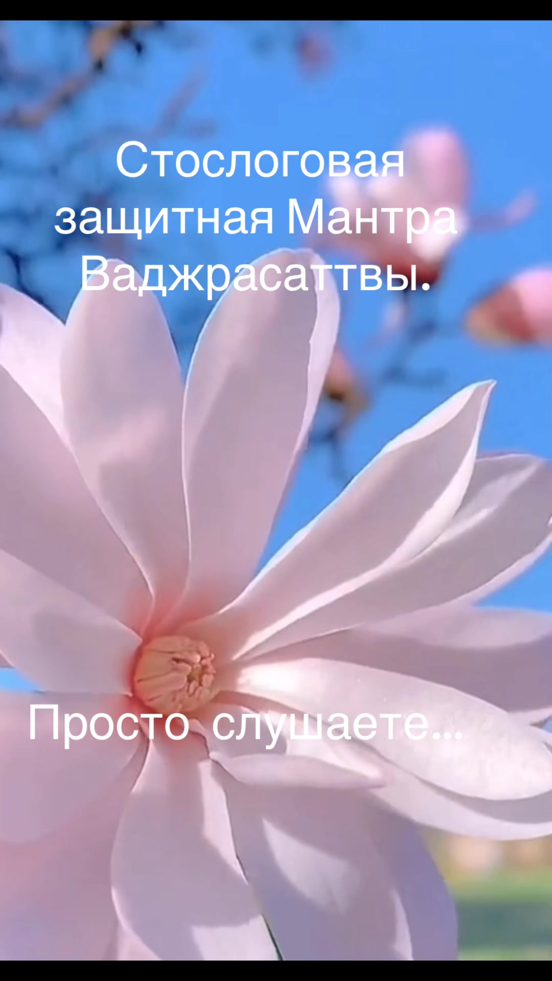 @Svetvalex