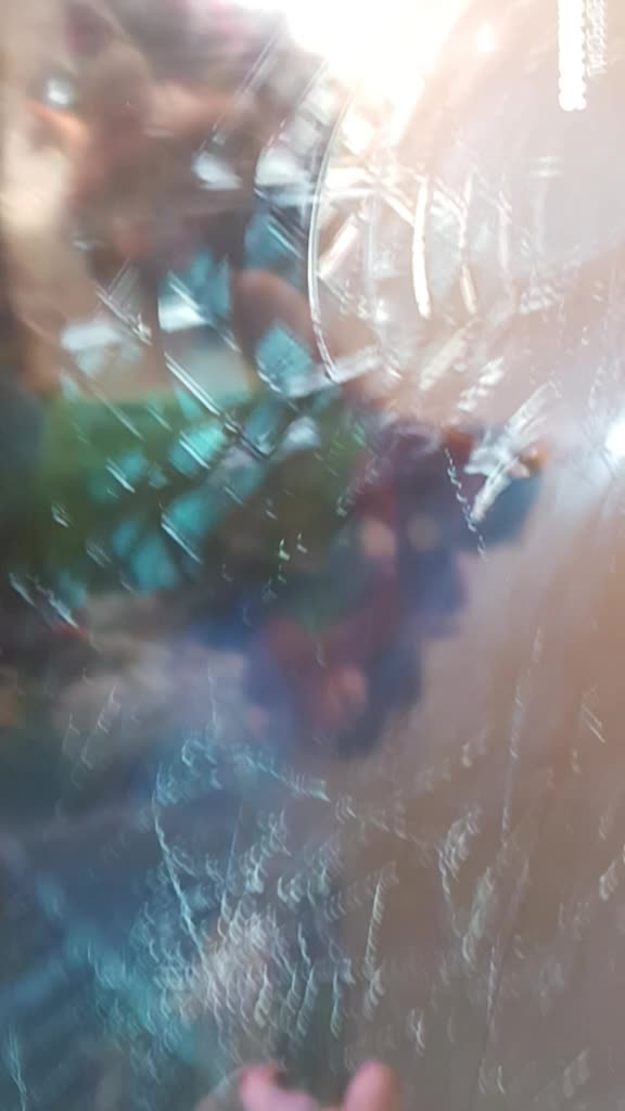 @fanroblox@lol