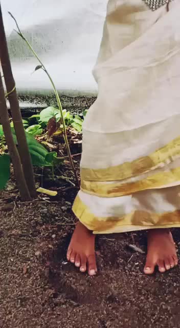 @MayaVi
