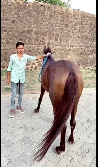 @Ranaji