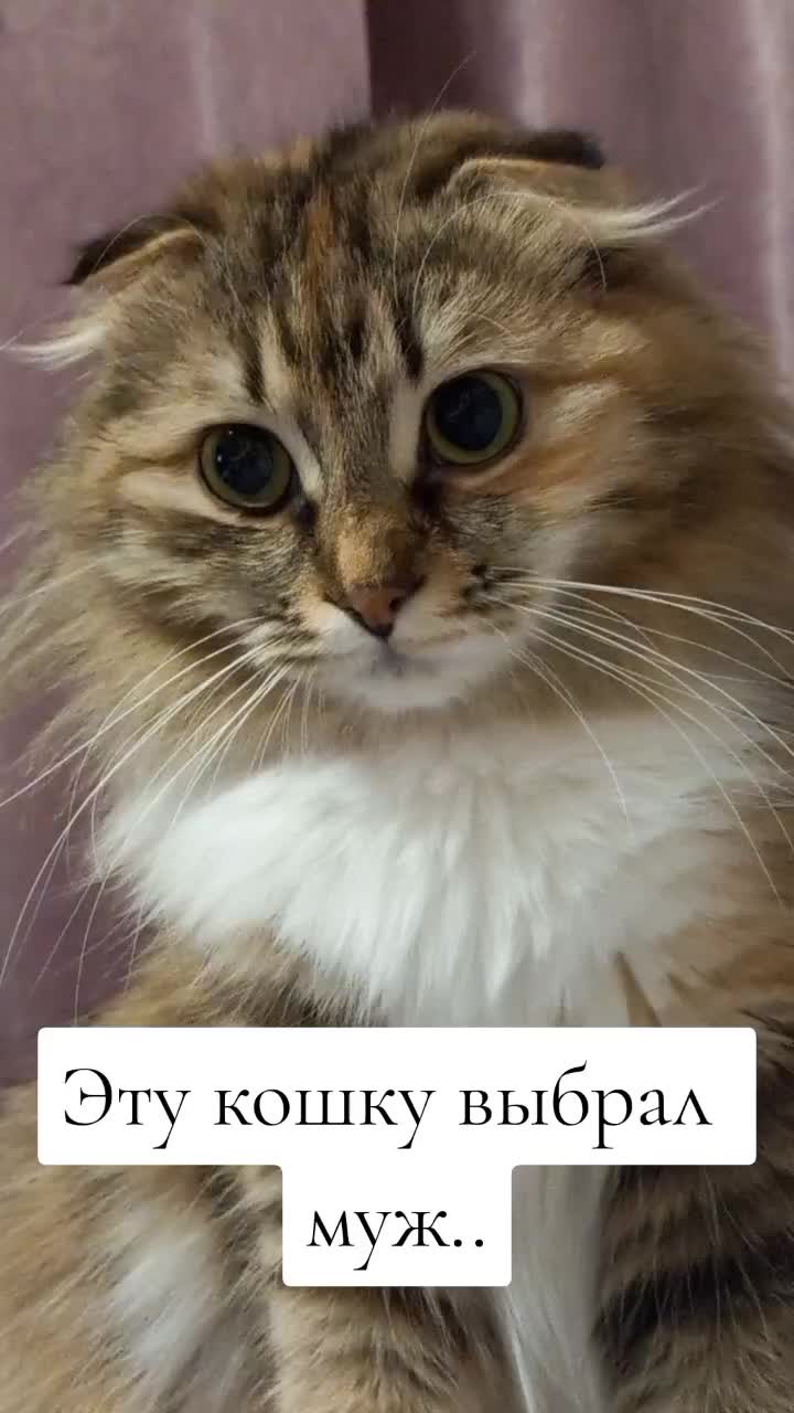 @фрося