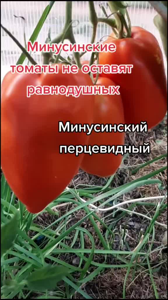 @Дача мечты