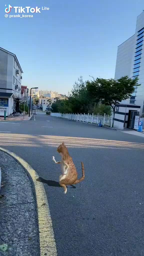 @user2877696983001
