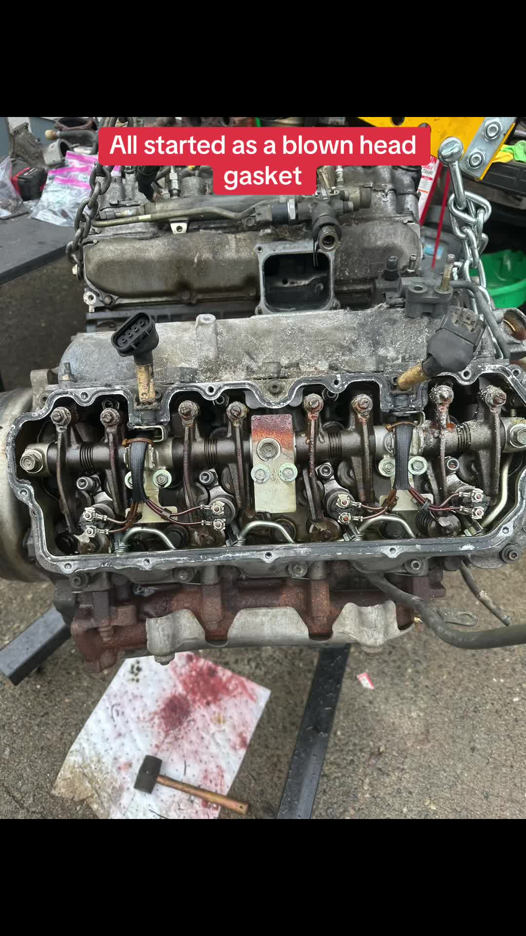 @Greaser Monkey 🐒