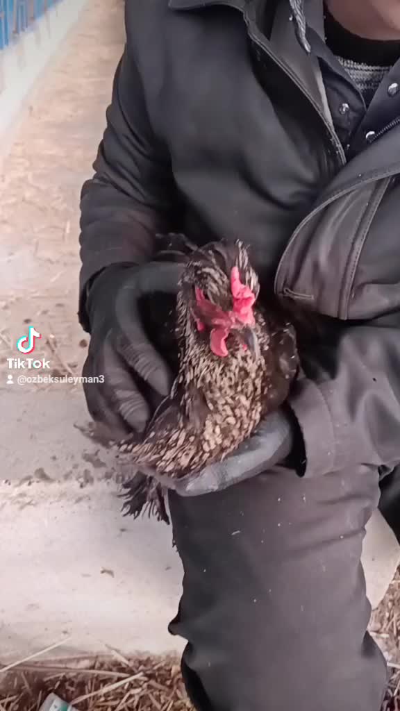 @Emmi Oğulları
