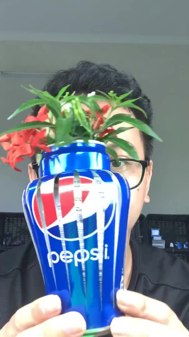 @Pepsi Cans Art