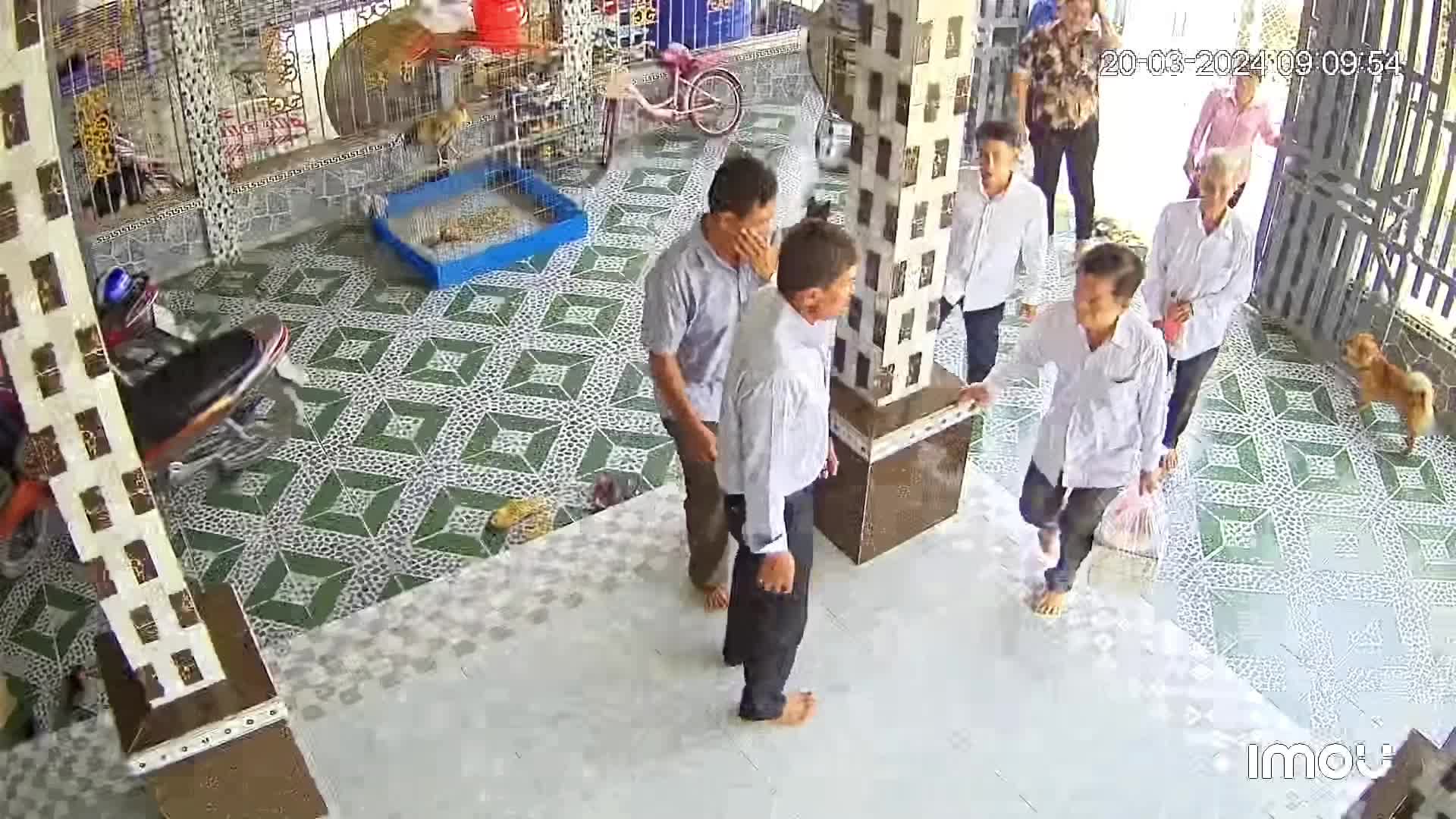 @Bùi khánh Linh