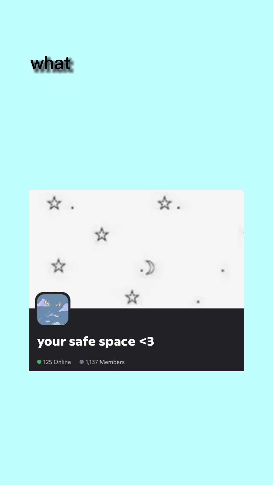 @🐈 your safe space 🌱