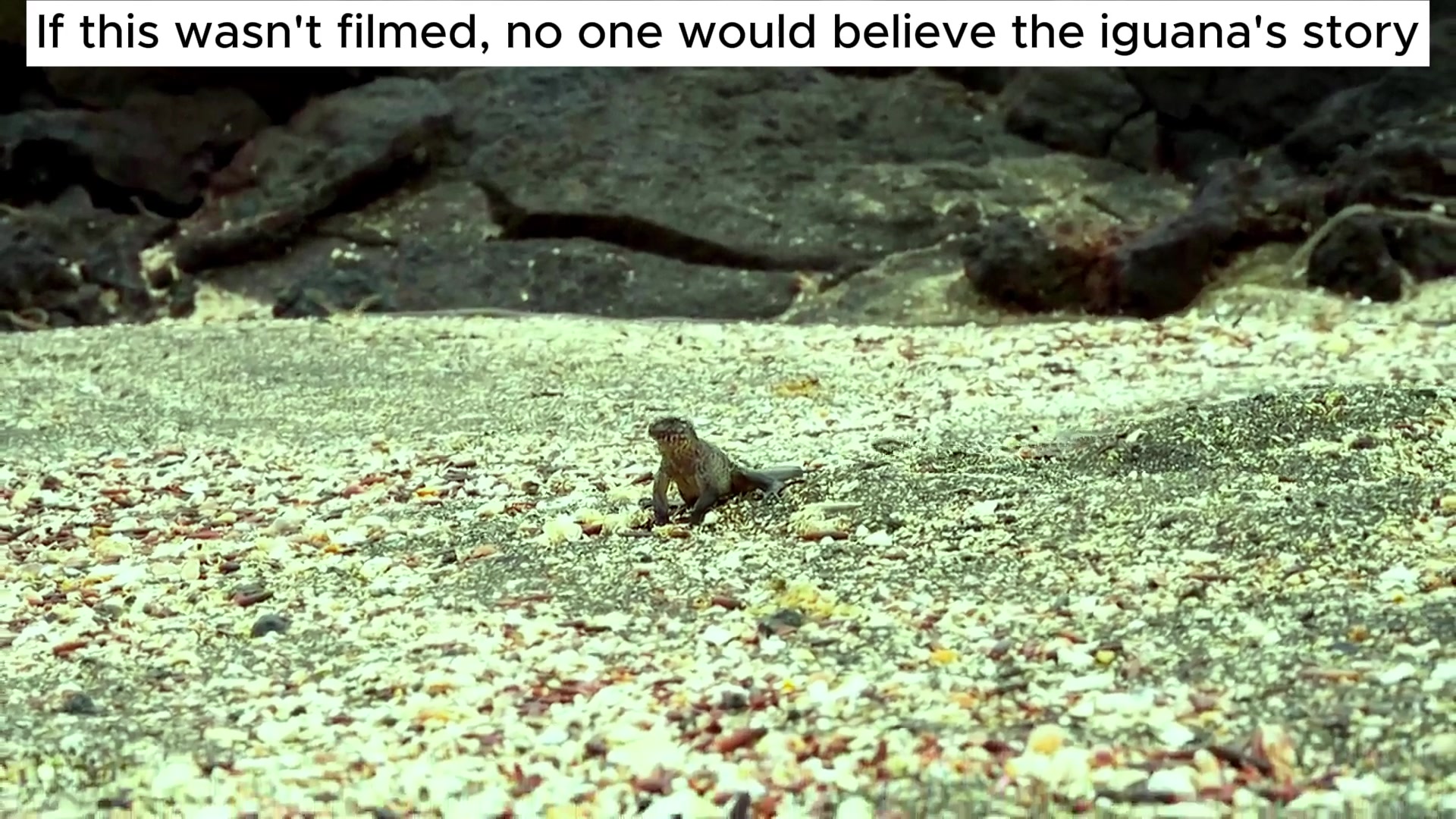 @Planet Earth