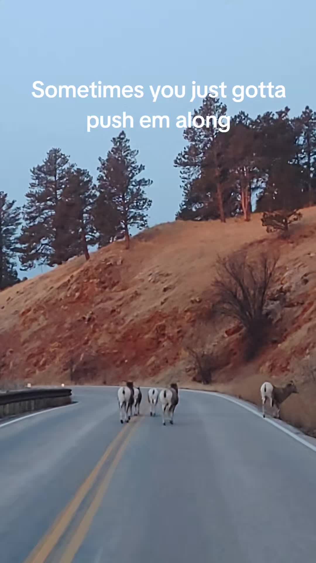 @Hills_Huntress83