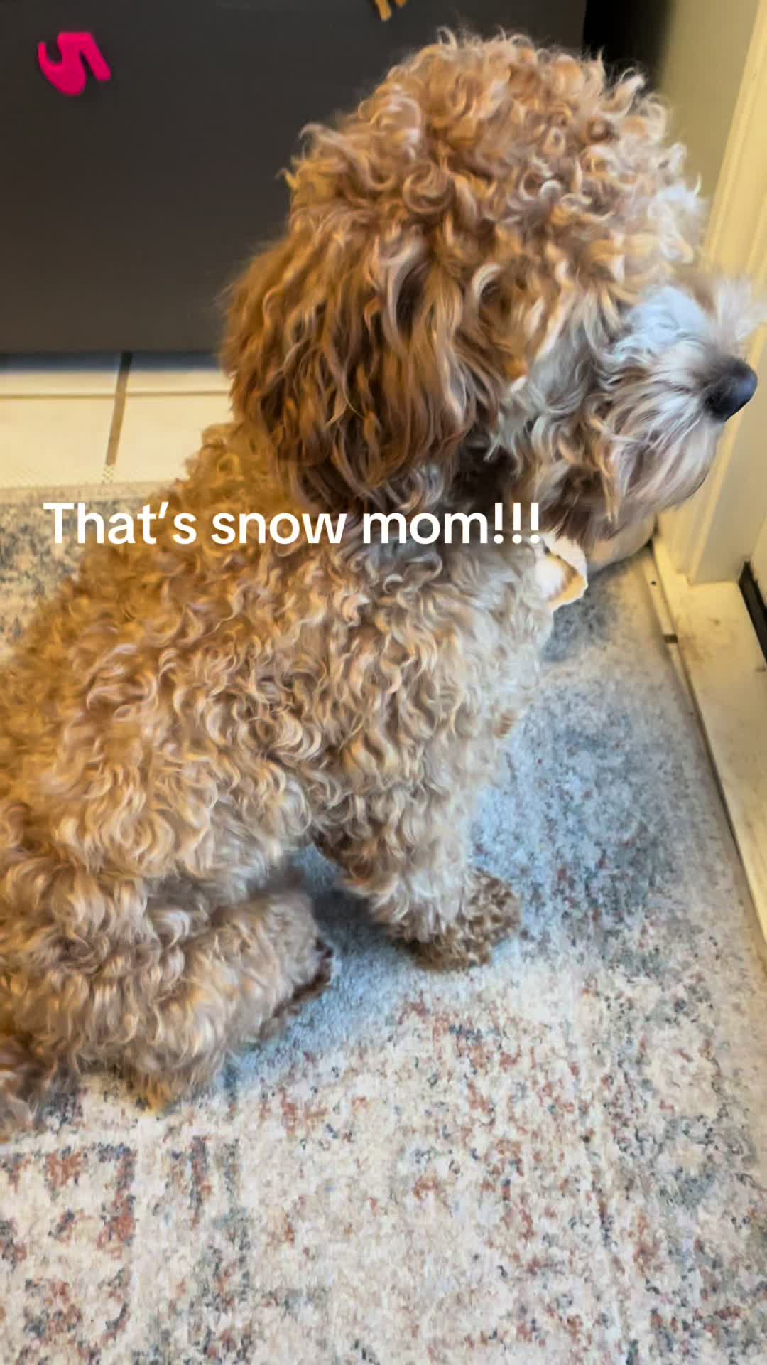 @rue_s_mom