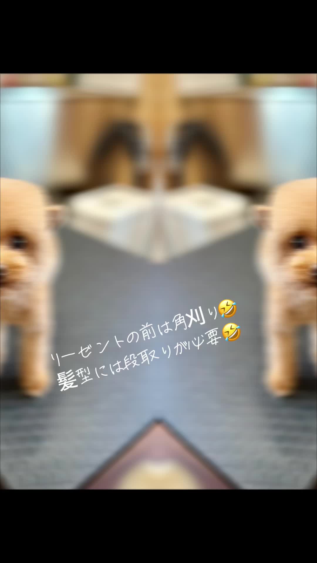 @パンチ👊とリンダ🍎