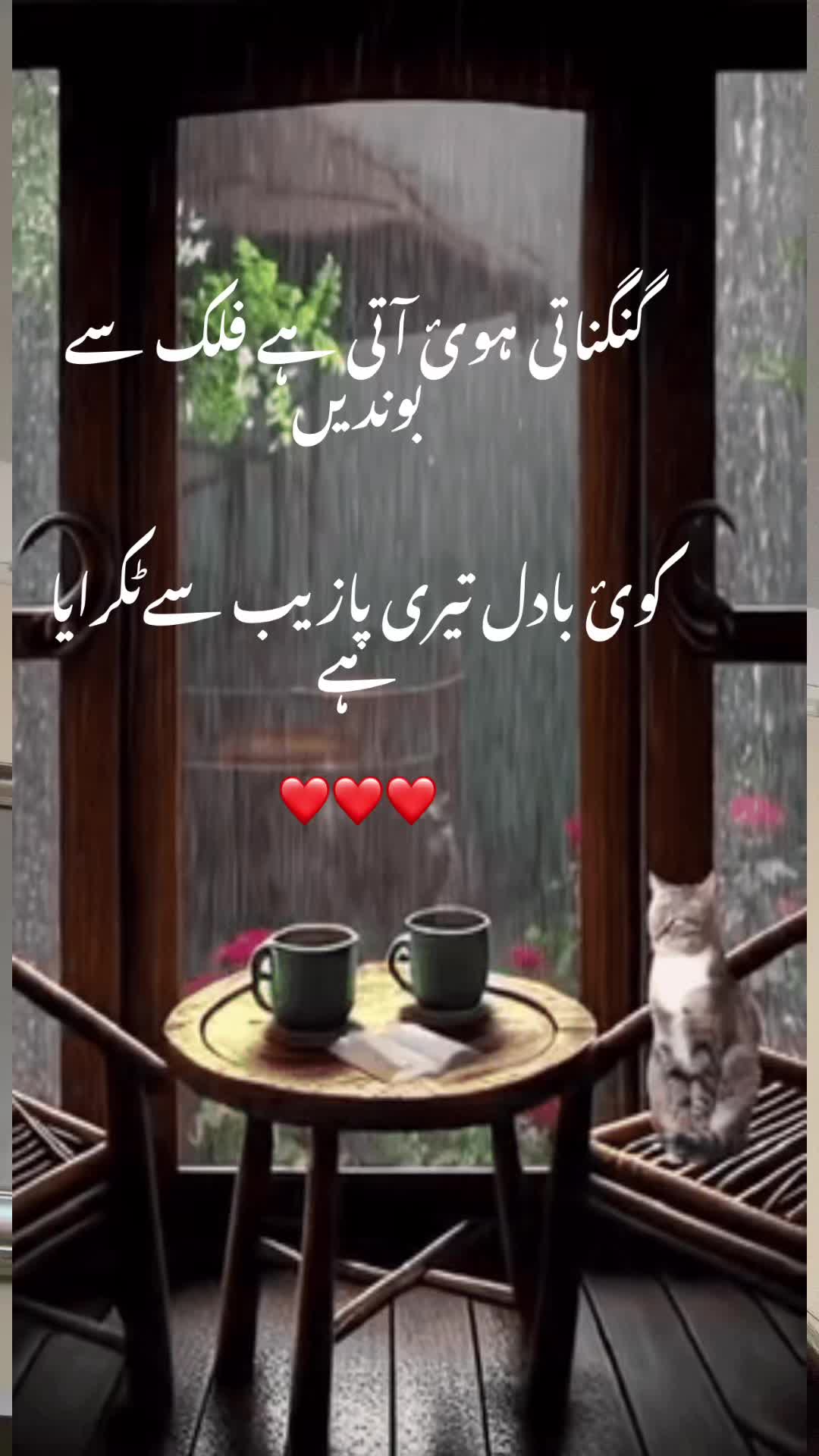 @Khushi Zai