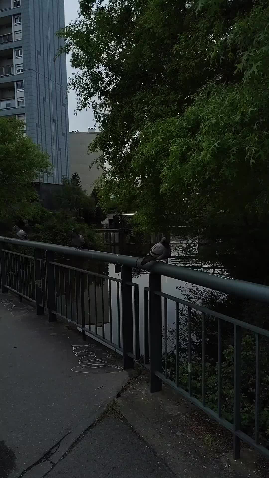 @Declerck Visuel