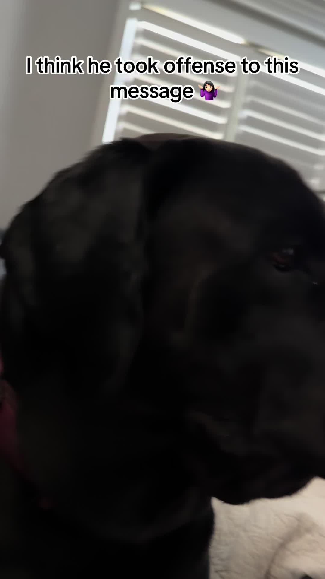 @HankTheTank