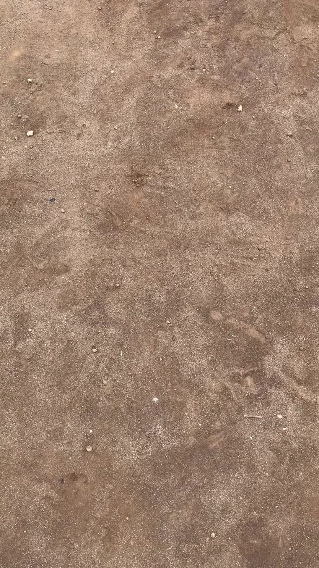 @dzkrialhsn_