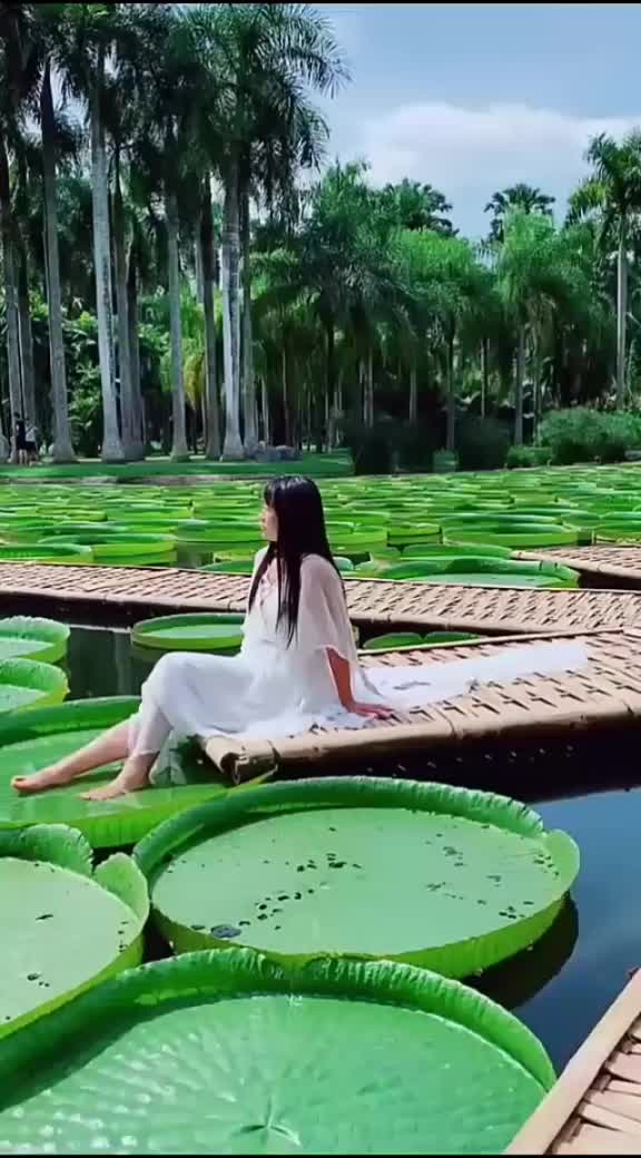 @๐๐ข๐ญ๐ญ๐ฅ๐ ๐๐๐๐๐ข๐ญ
