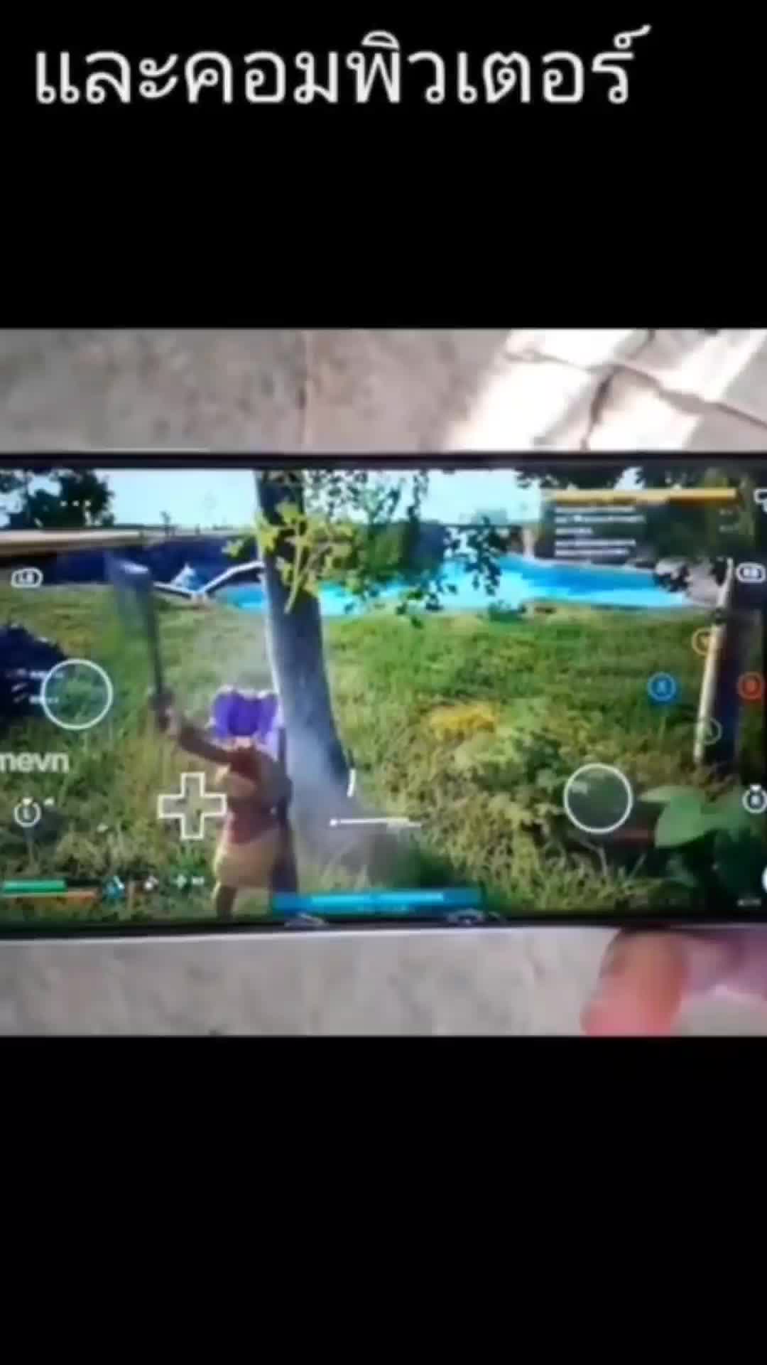 @palwordapk