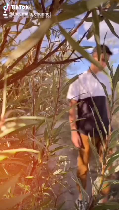 @The_Mala_channel