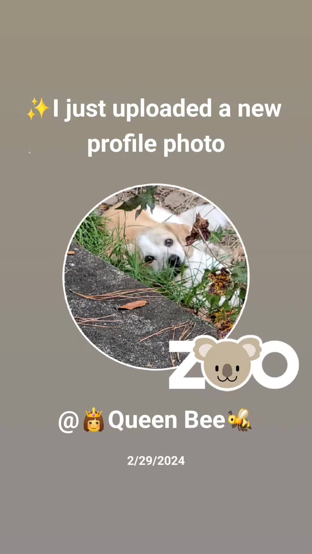 @👸Queen Bee🐝