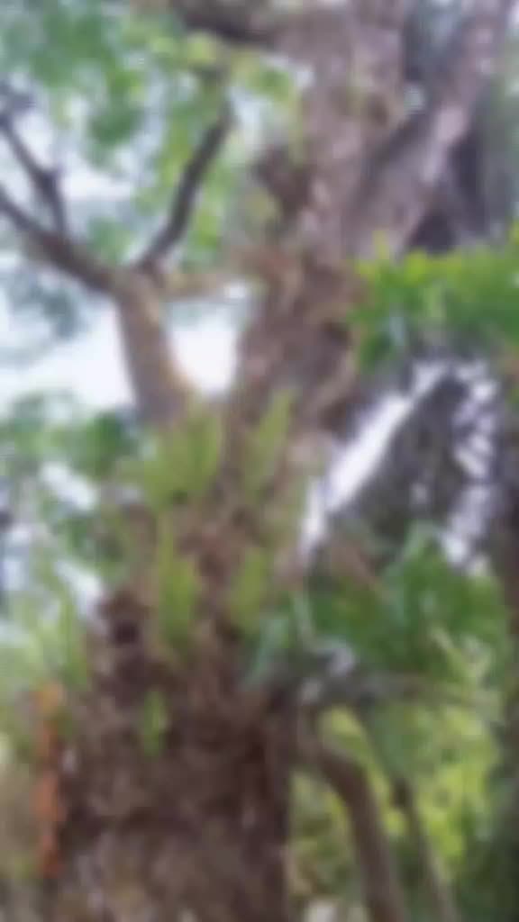 @🥀🥀পেয়ে ও তোমায় হারা লাম🥀🥀