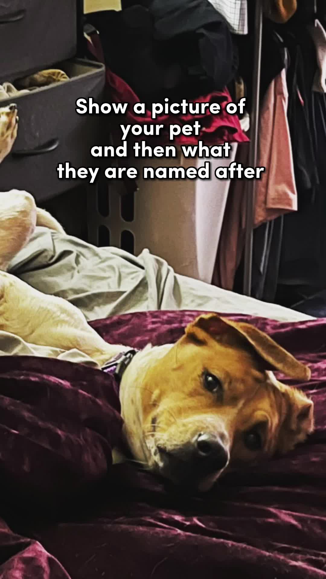 @😱𝙷𝚘𝚕𝚍𝚎𝚗😬