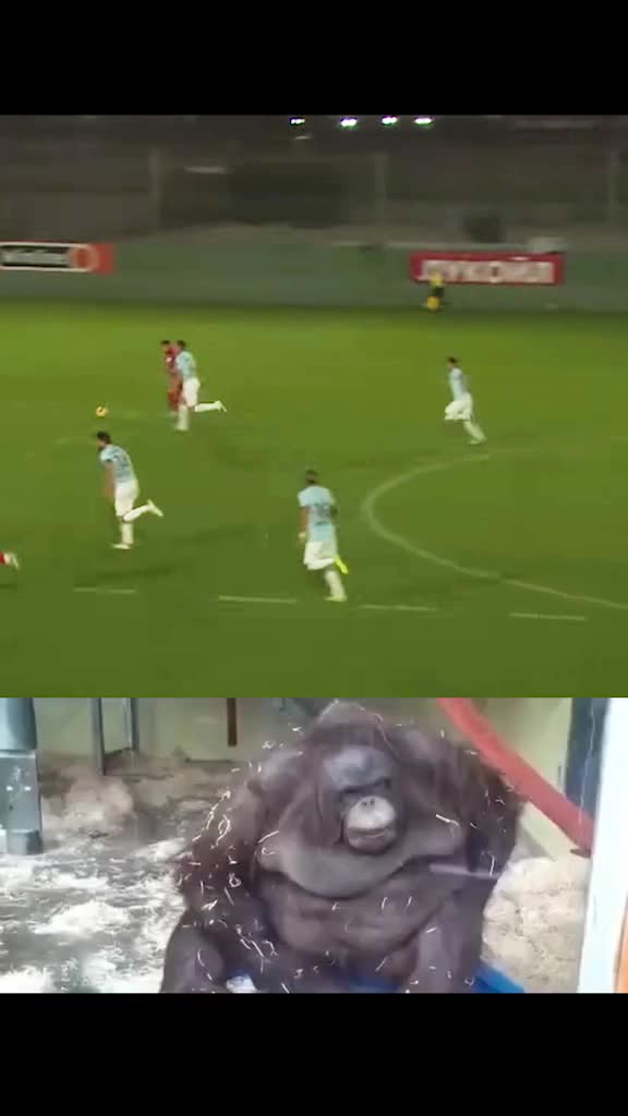 @FC Spartak Moscow
