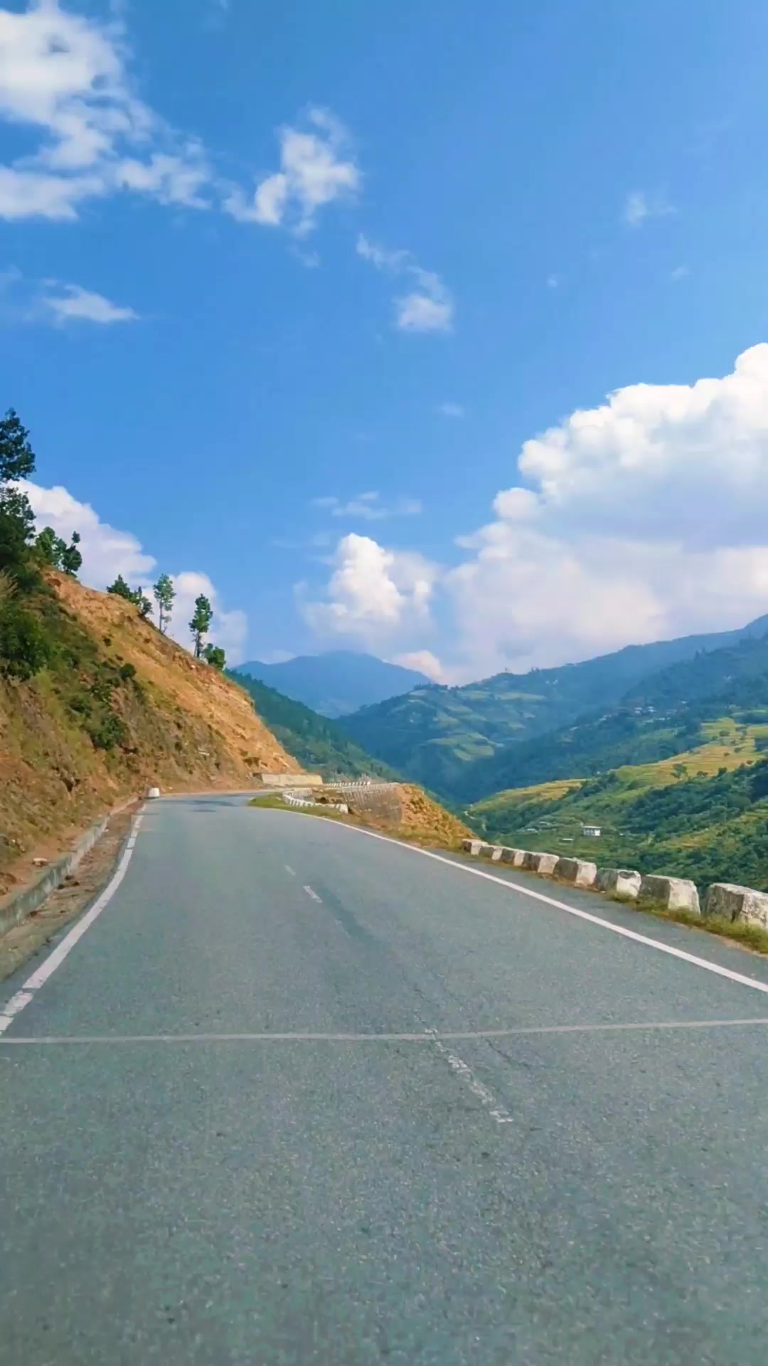 @Solo Season-@🇧🇹