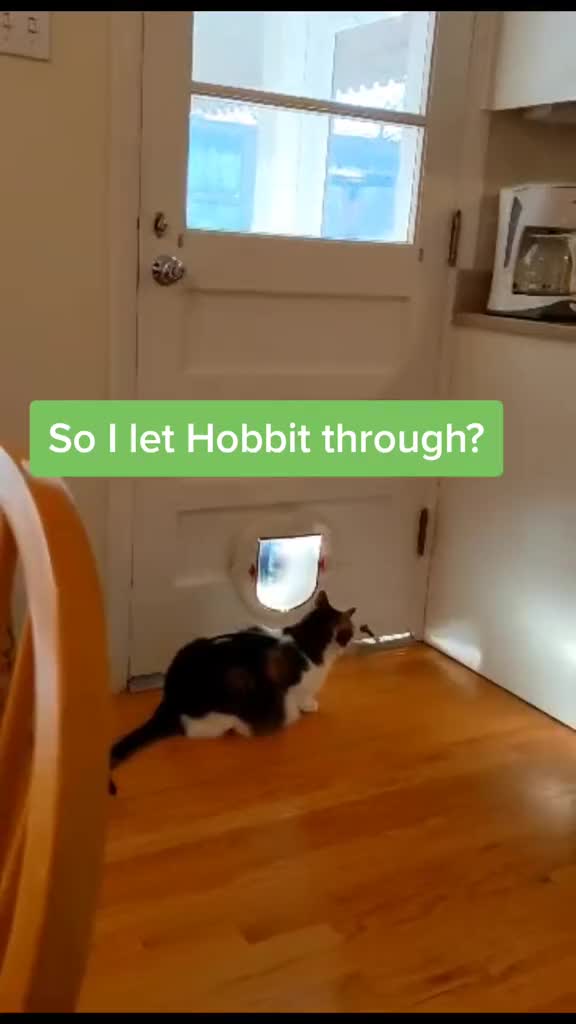 @mr.punkers,ollie&hobbit