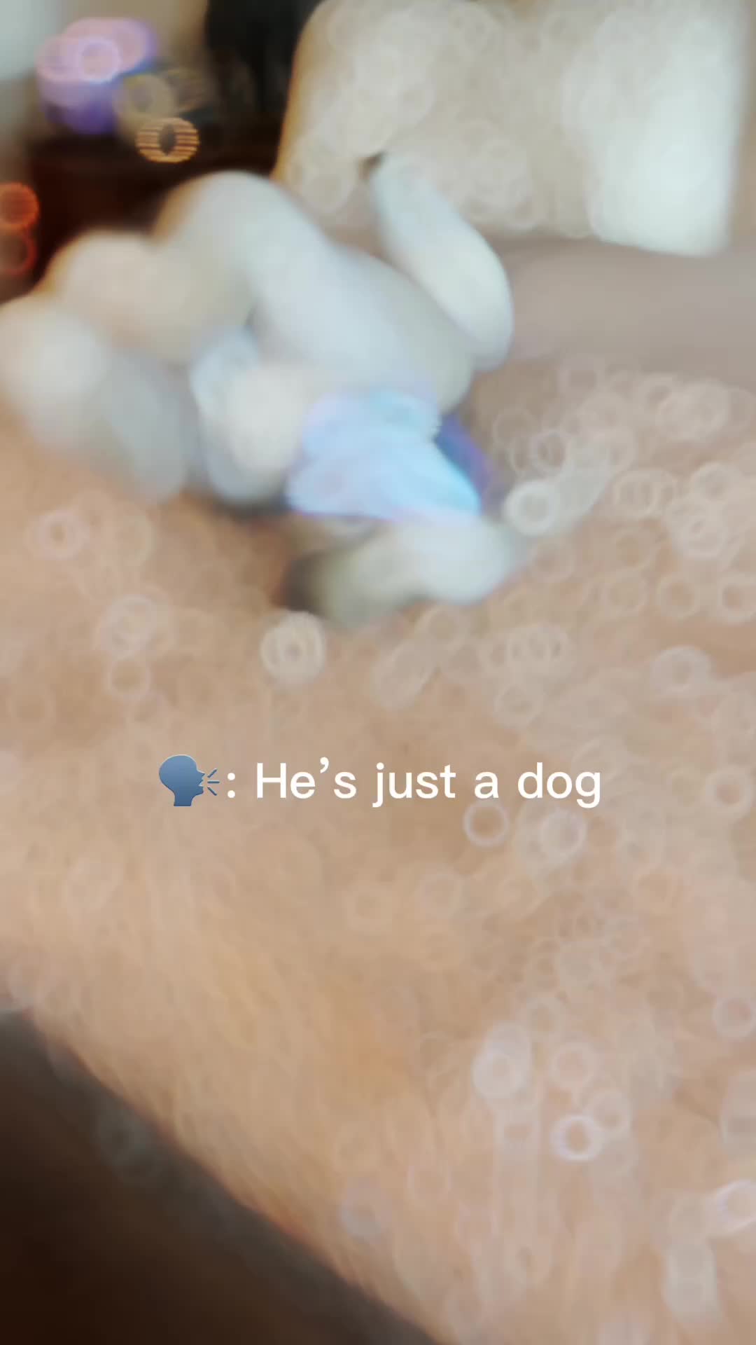 @danielle.shapiro