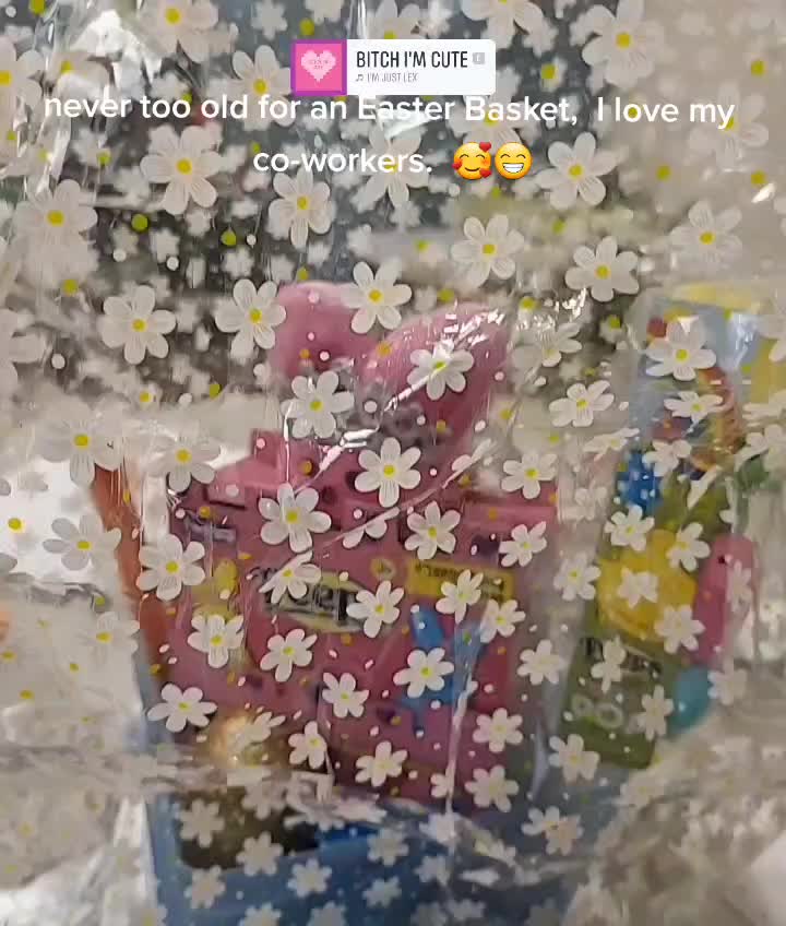 @ShellyShell