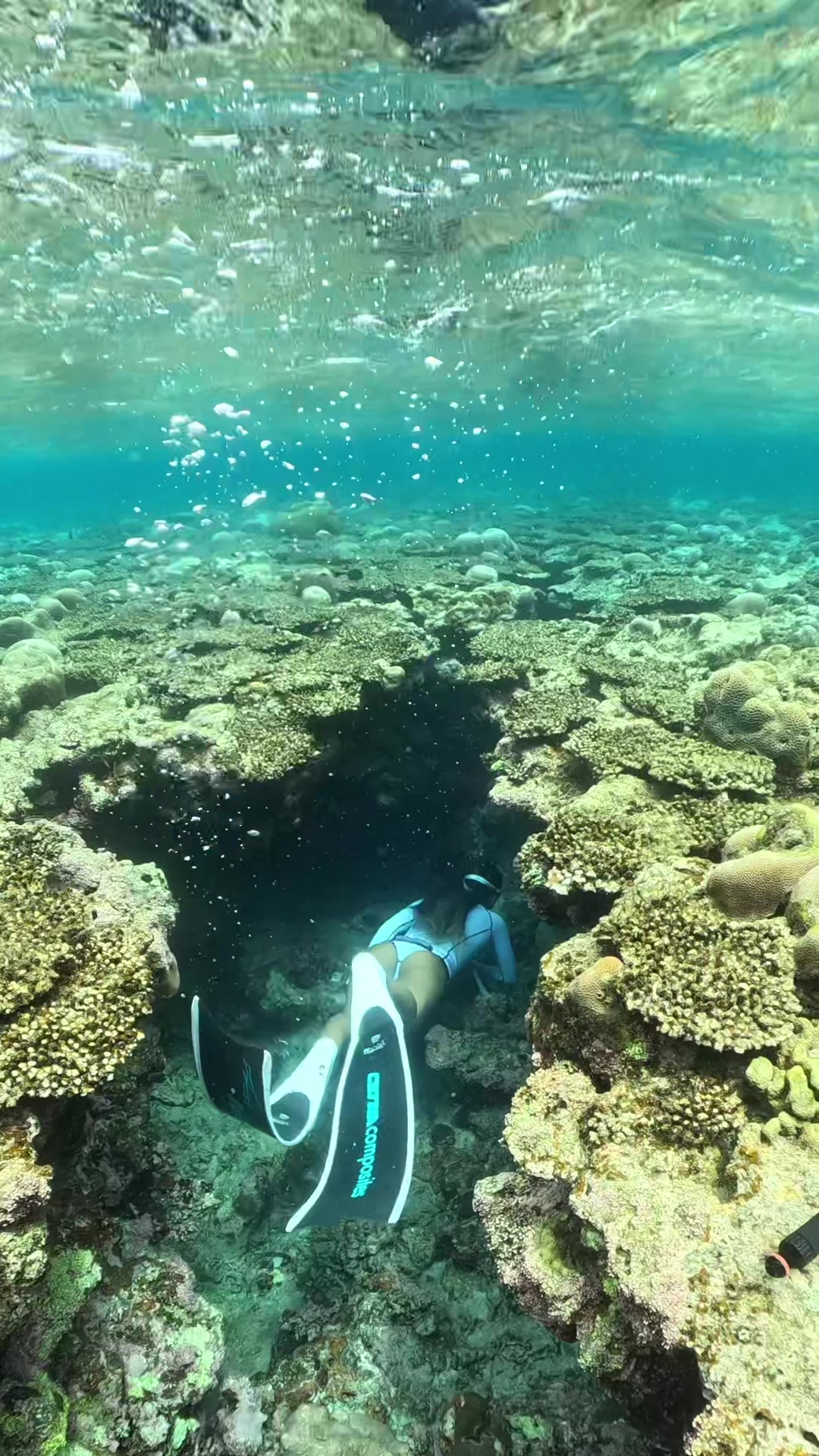 @素潜り女🧜🏽&zwj;♀️🫧🪸