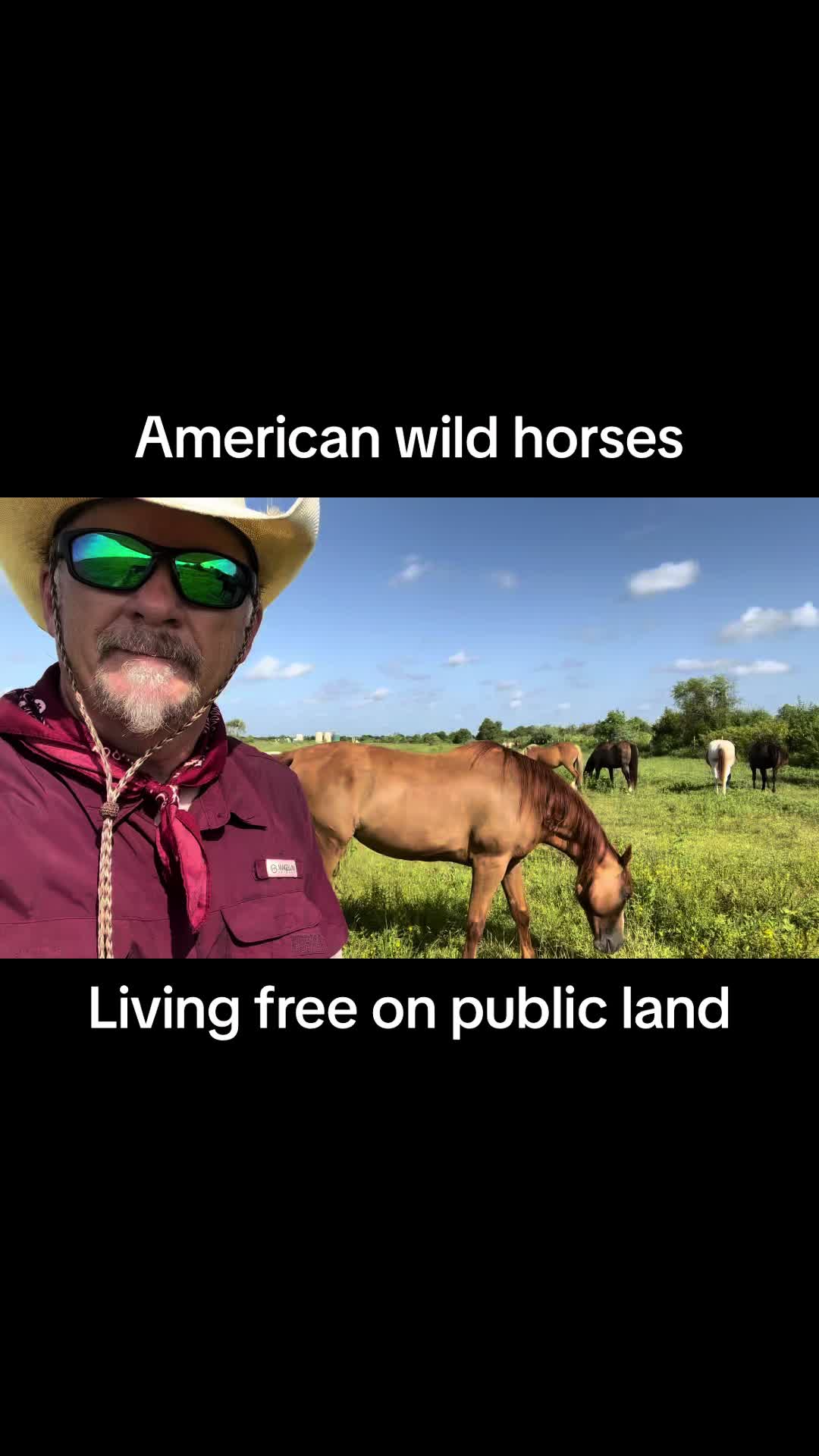@CowboyBob_Horsemanship