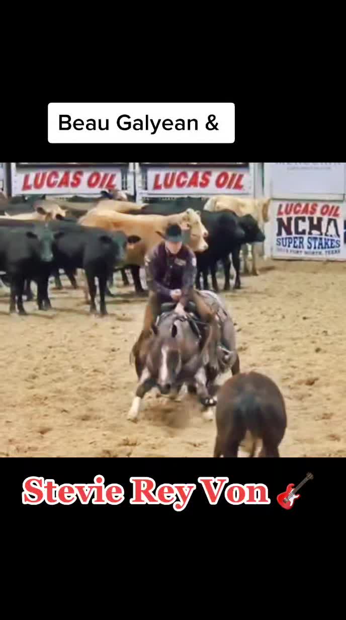 @cuttinghorsess