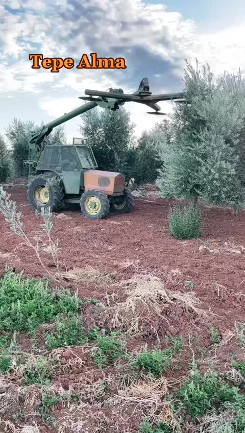 @BaranGokmen07