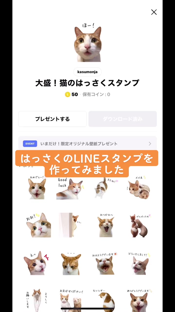 @猫のはっさく