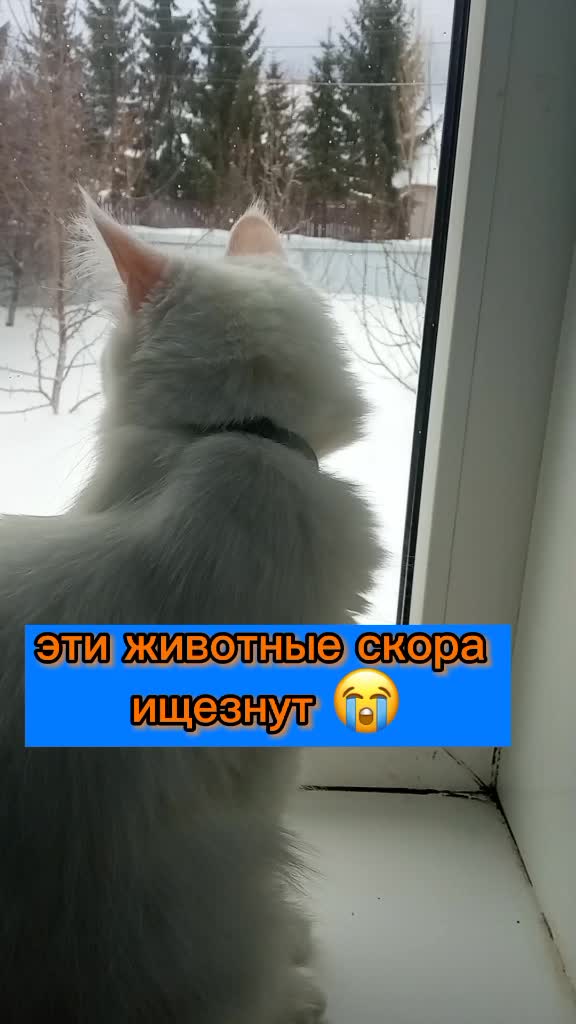 @💗🐰Ласка🐰💗