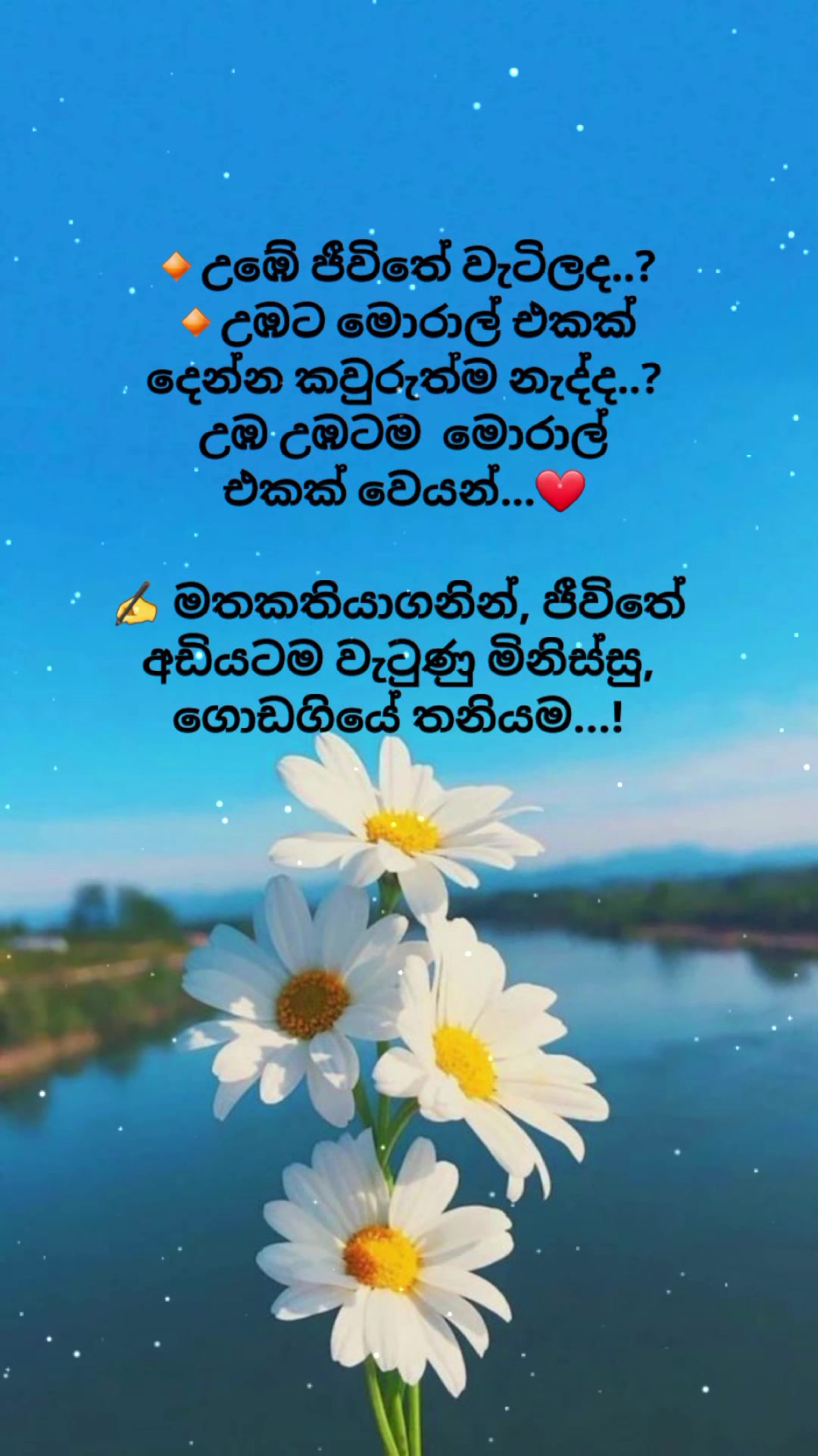 @Mashi