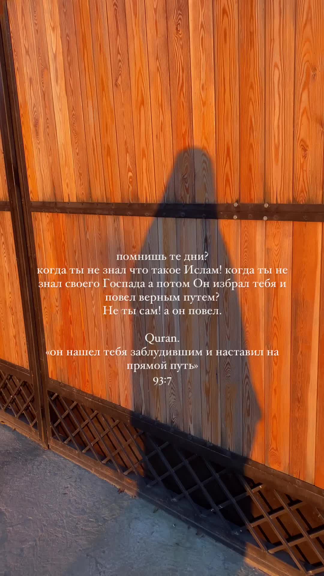 @Gultseva1