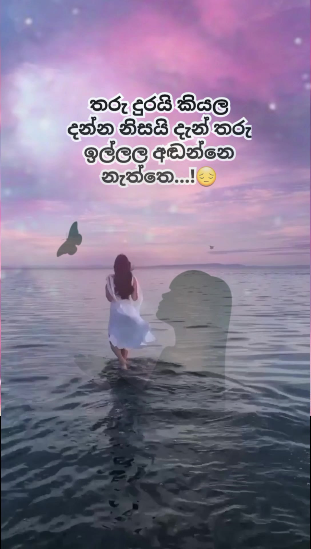 @Mashi