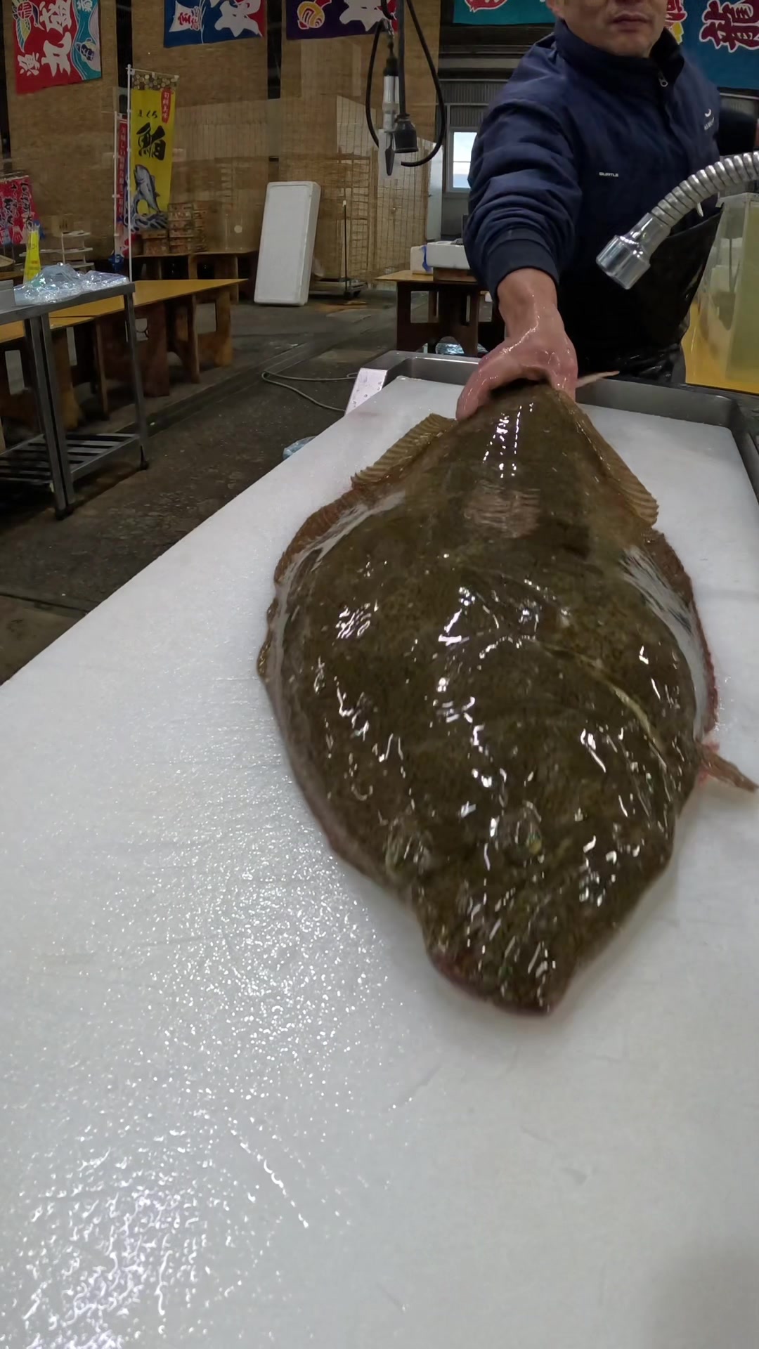 @鳴門魚市のサブ垢