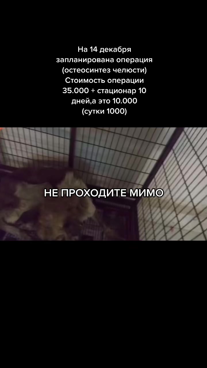 @Елена Белова