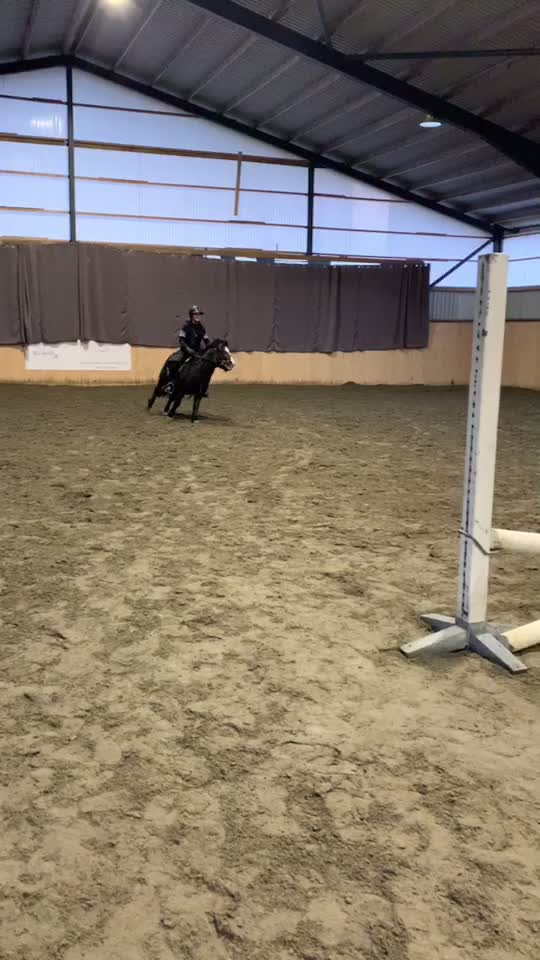 @Horses♡