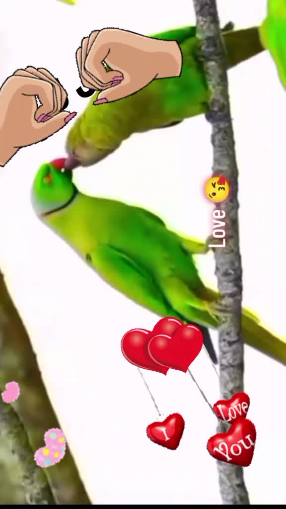 @ஜென்னா 🇱🇰🇱🇰